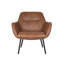 Lounge Chair