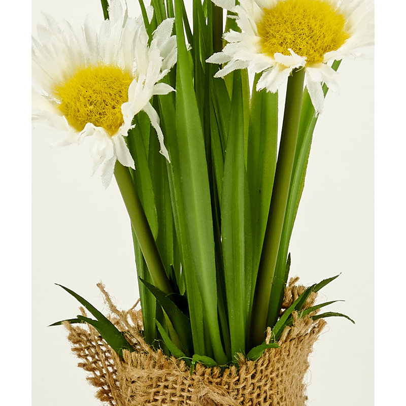 8" Daisy in Burlap Sack
