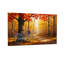 Scène de bicyclette Plants & Flowers Autumn Forest Path-748848691-748848690-748848717