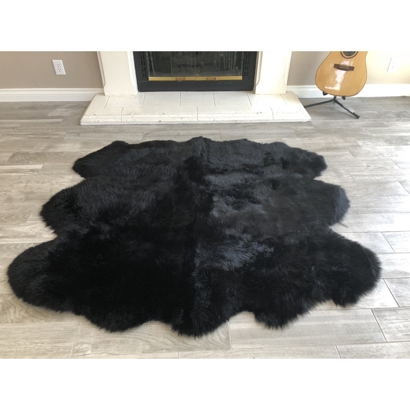 Tapis noir Wiesner, Nouveauté 6 pi x 6 pi