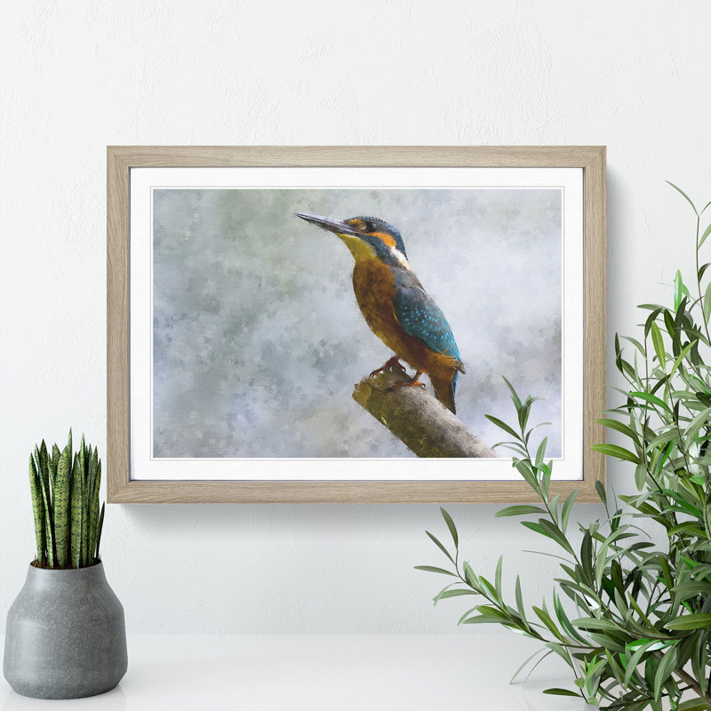 Graceful Kingfisher Bird - Picture Frame Graphic Art Print, 45cm H x 63cm W x 2cm D, Oak Framed