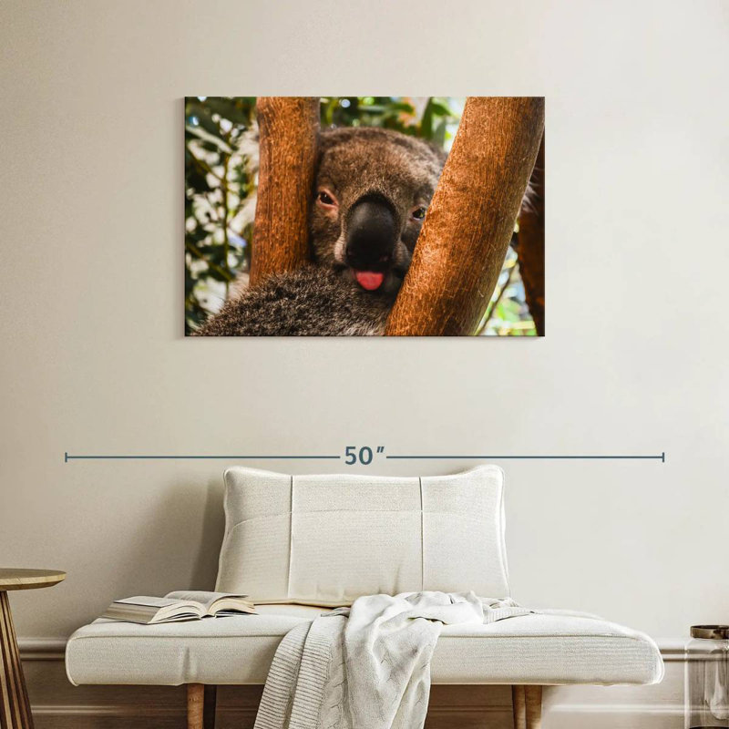 Brampt Funny Koala, 24" H x 36" W