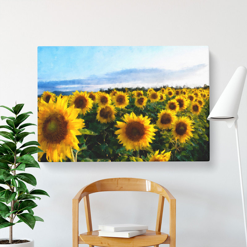 Sunflowers - Wrapped Canvas Print, 35cm H x 50cm W x 3cm D