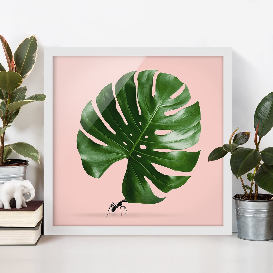 Gerahmtes Poster Ant mit Monstera Leaf von Jonas Loose