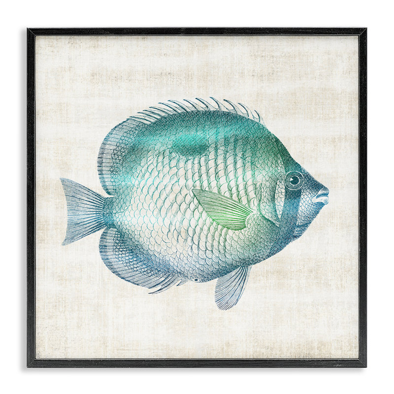 Impression de poisson, Sea Life, giclée encadrée, conception par Susan Arnot, H 12 po x l 12 po, Giclée encadrée noir minuit