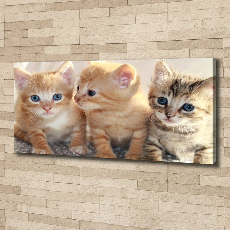 Small Cats - Wrapped Canvas Print