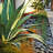 Natural Black and Tan Slate Chips Landscaping Rocks-29648357