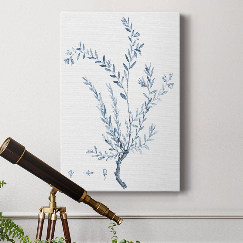 Antique Botanical In Blue VII - reproduction d'art sur toile tendue, H 36 po x l 24 po x P 1 po