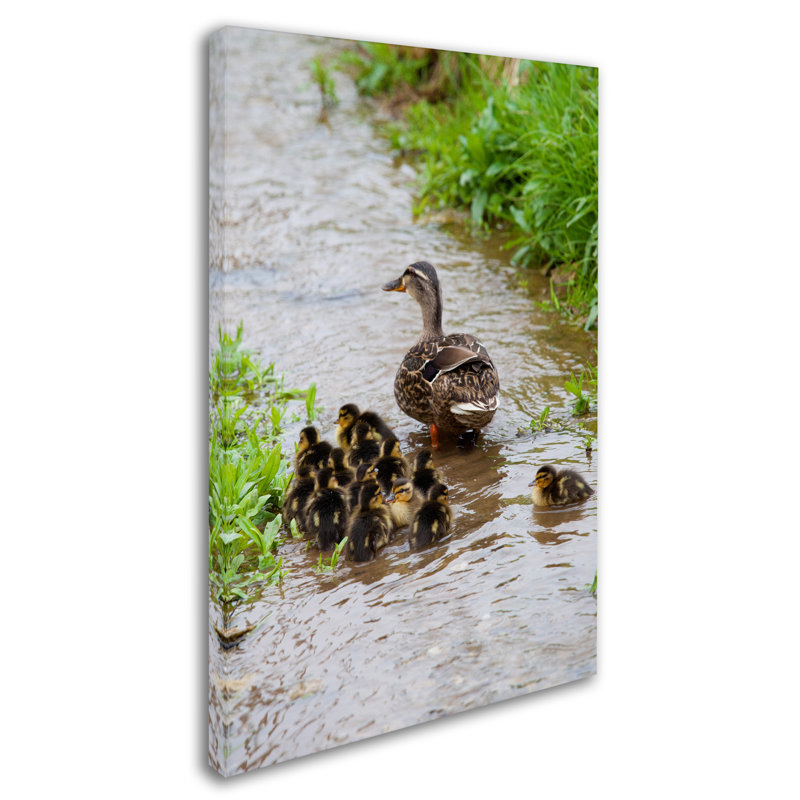 Baby Duck Family on Canvas Art in Light Brown Frame