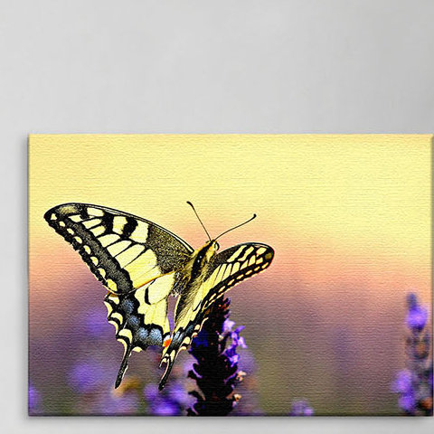 Print on Canvas, 100cm H x 150cm W x 2cm D
