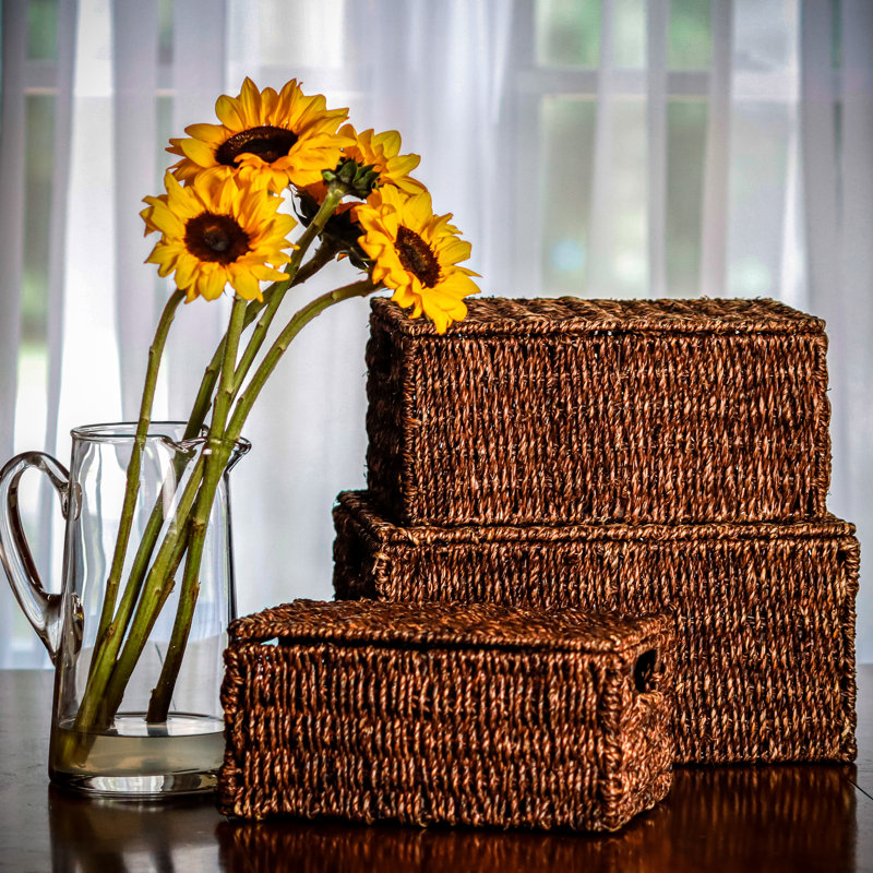 Panier général en ruppie maritime 3 pièces Redegonda