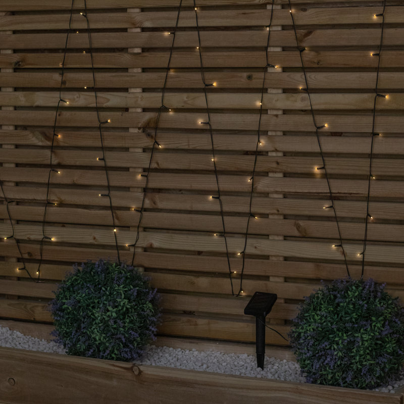 String Light