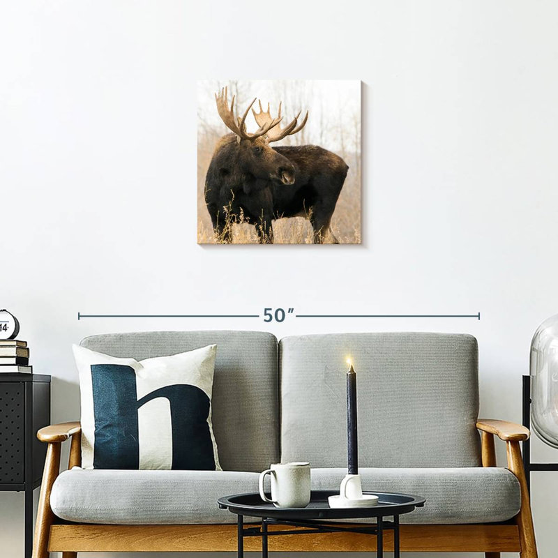 Brampt Wyoming Moose, 20" H x 20" W