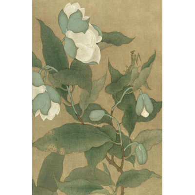 Magnolia et mante religieuse