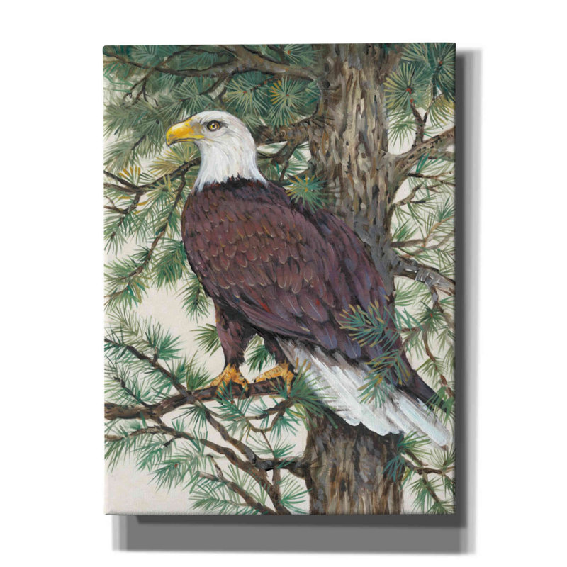 «Eagle In The Pine» par Tim O'toole, art mural sur toile, H 16 po x l 12 po x P 0,75 po