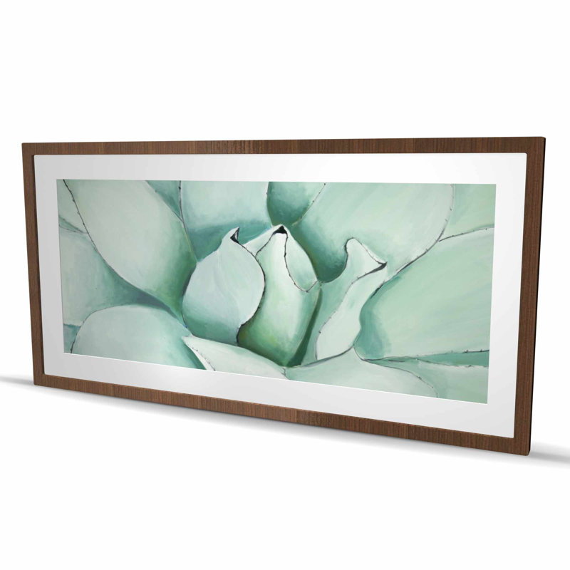 Plantes grasses - impression encadrée contemporaine pour la décoration intérieure, H 24 po x l 48 po, Brun