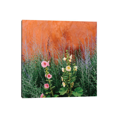 «Santa Fe Flowers» par Bethany Young - photographie sur toile tendue