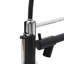 Belfry Kitchen Lippencott Pull Down Kitchen Faucet-171134442