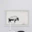 « Pâturage bison »-reproduction de photo sur papier encadrée-1599440568