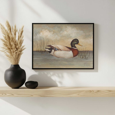 Mallard by David Carter Brown Art Print