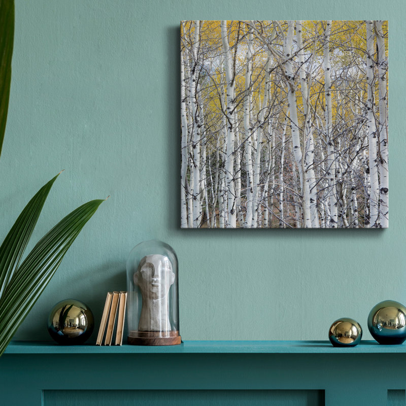 " Mountain Aspen ", 10" H x 10" W x 1.5" D