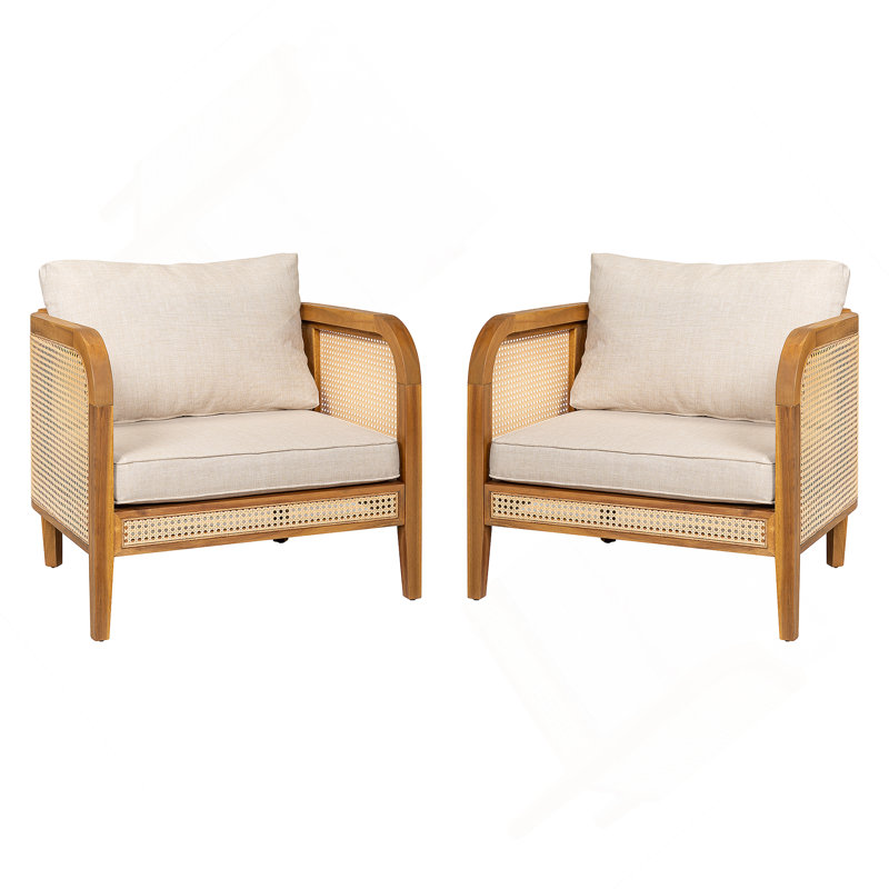 Chaise avec accoudoirs d'extérieur rembourrée, ensemble de 2