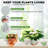 Self Watering Plant Pots Indoor-1507783042