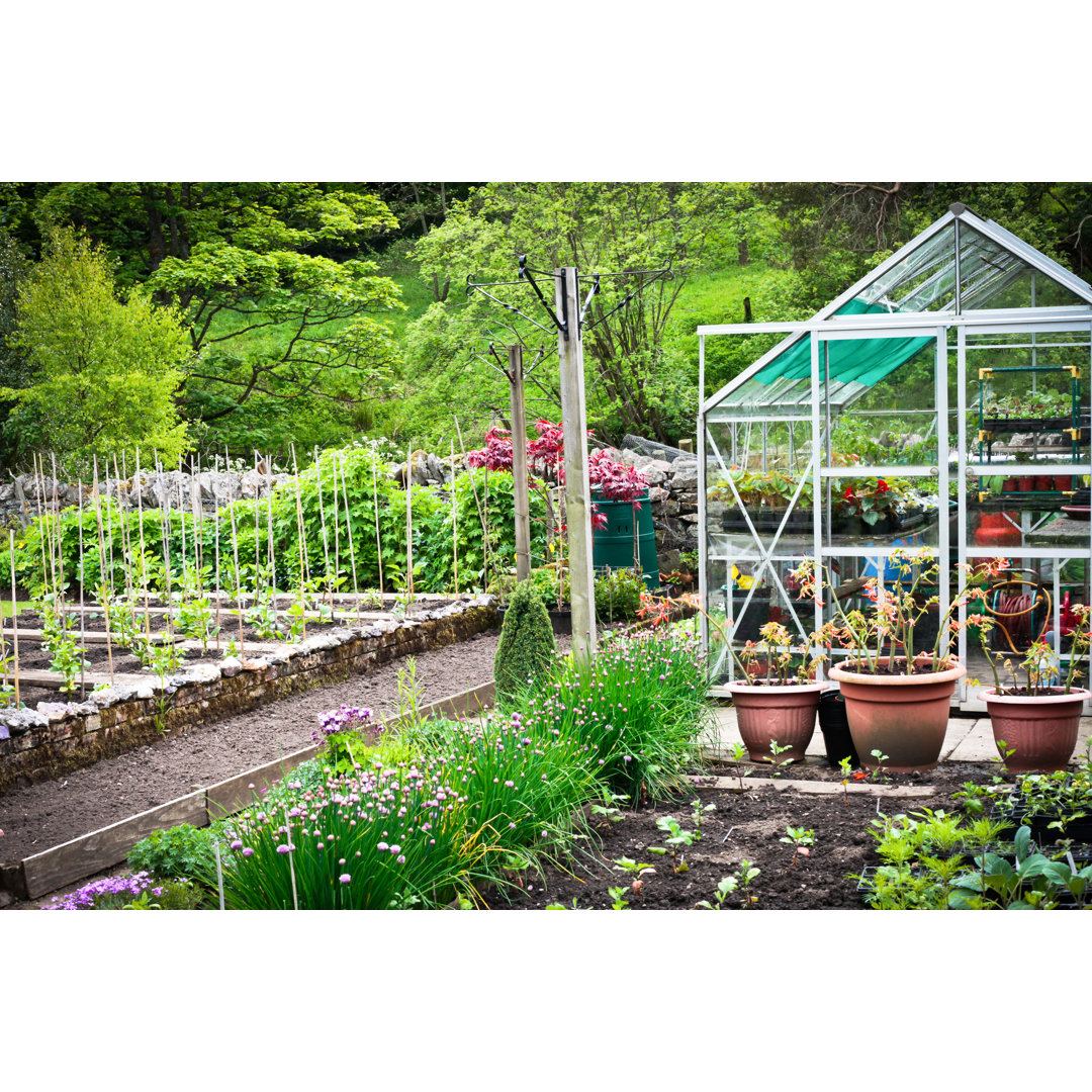 Leinwandbild Vegetable Garden