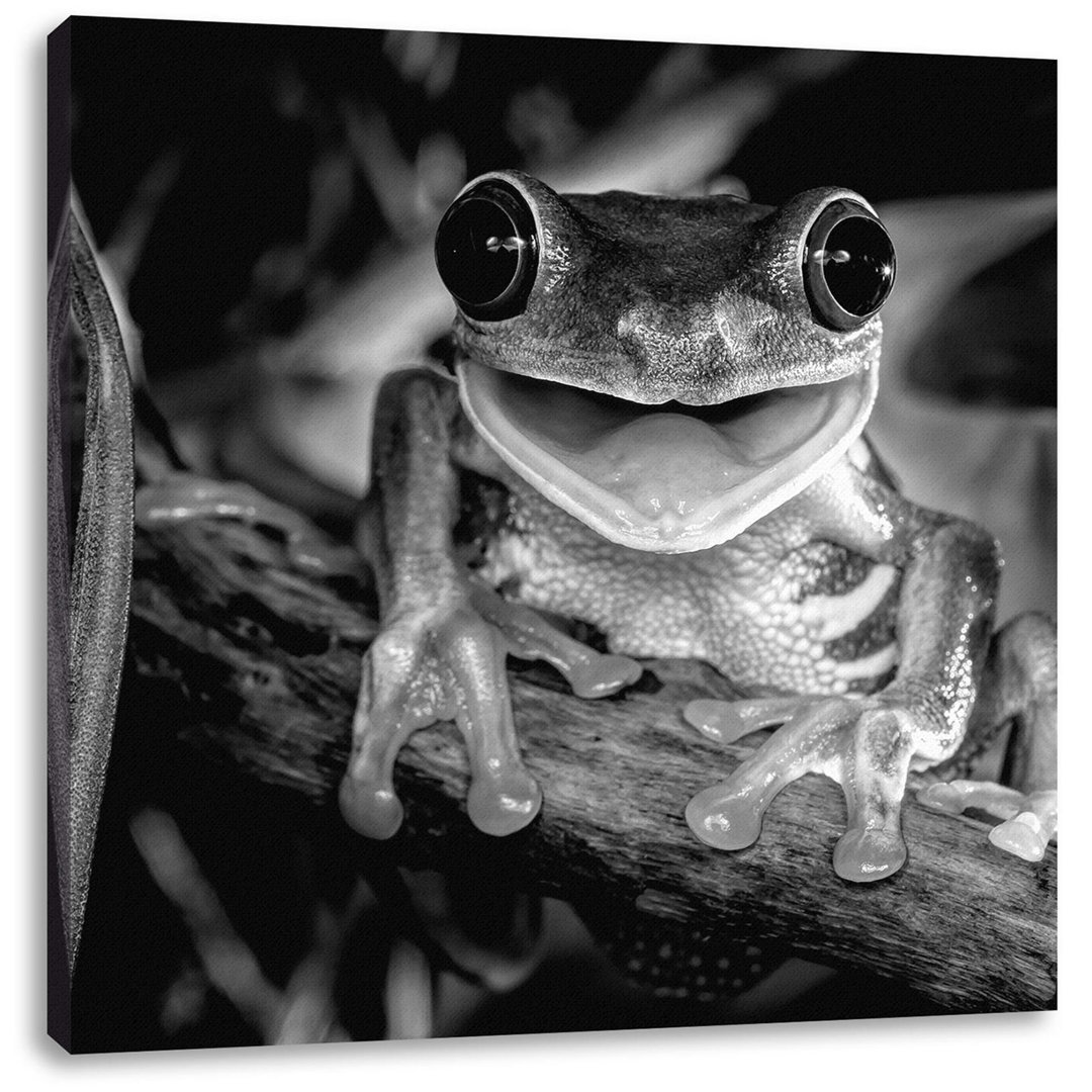 Fotodruck Lachender Frosch mit roten Augen auf Ast