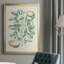 Buchoz Tropicals III, reproduction d'art encadrée-88436744-88436748