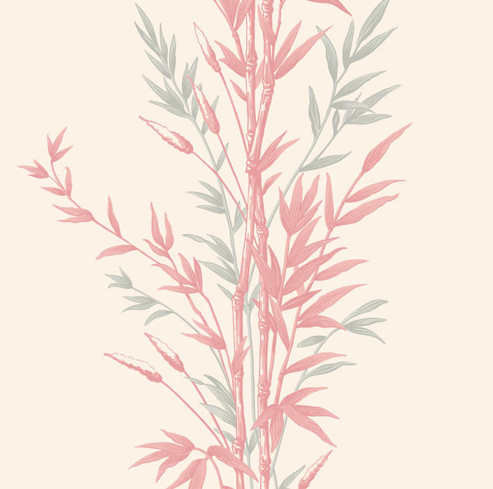 Anthology Bamboo Floral Wallpaper Roll, Pink