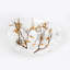 Crystal Branched Adorned Coffee Table