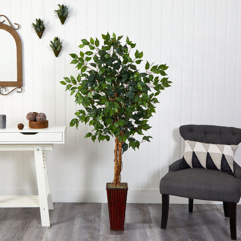 Ficus artificiel Aahil dans un vase décoratif, H 66 po x l 30 po x p 30 po