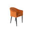 Catelyn Armchair-581810545