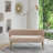 Chynna 51.2'' Velvet Loveseat-1768879380