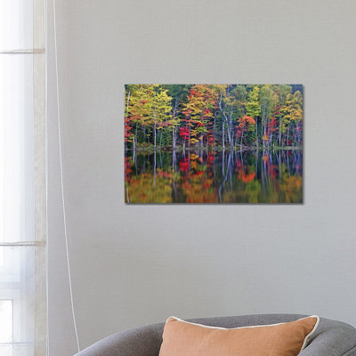 Reflections on Council Lake 1 Piece Wrapped Canvas Wall Art