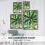 «Tropical Island Leaves I», reproduction encadrée - bois massif-1883110172