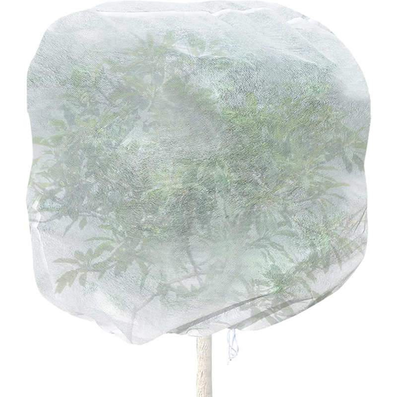 Housse pour plantes à valeur chaude Quarles, H 108 po x l 93 po x P 2 po