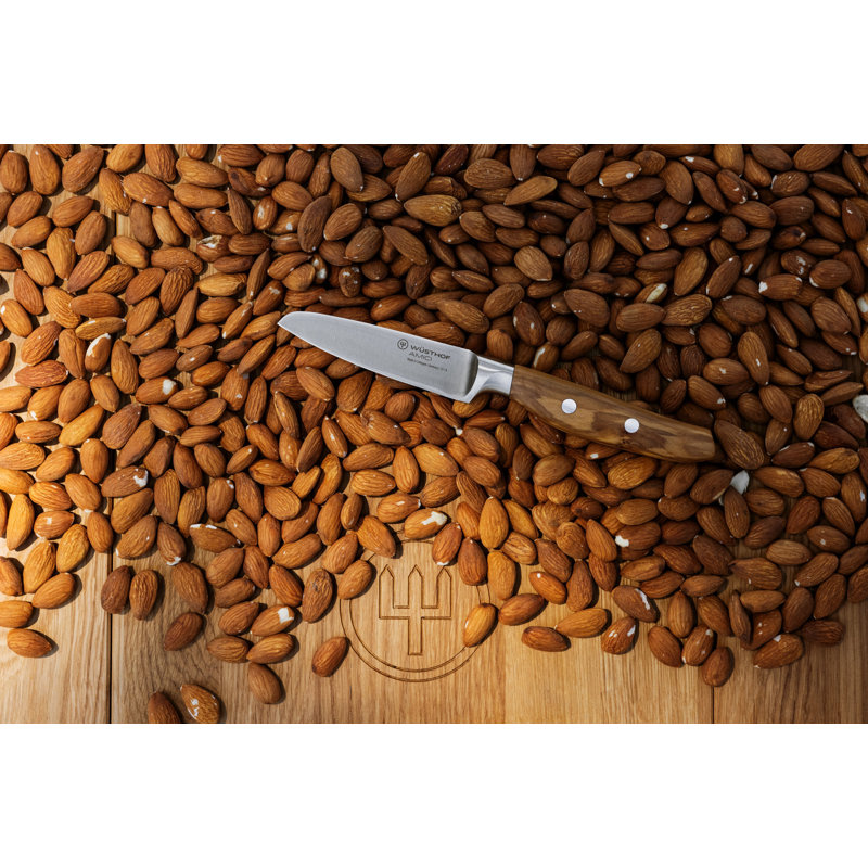 Amici 3.54" Paring Knife