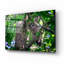 «Barred Owl In A Tree» par Rick Berk, art mural en verre acrylique-289547771