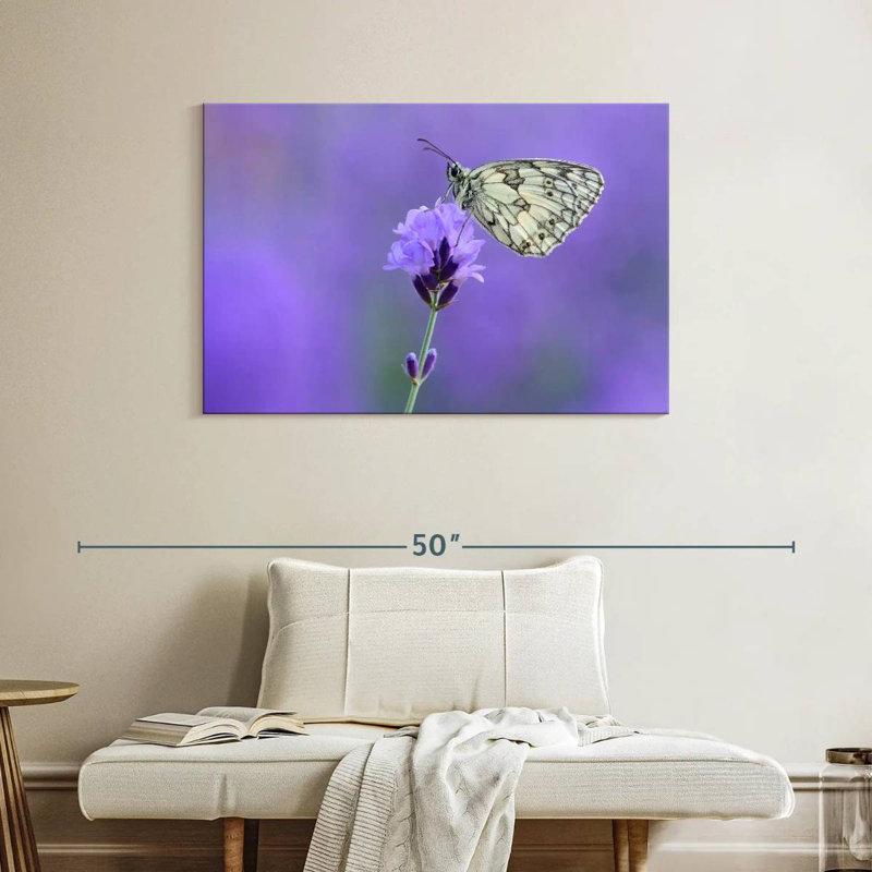 Papillon blanc marbré Brampt, H 26 po x l 39 po