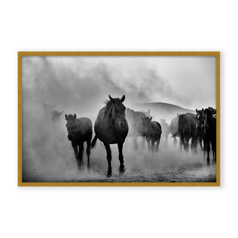 Nature Inspired Untitled by  - Picture Frame Photograph on Paper, Framed Canvas, 16" H x 24" W x 2.375" D, White