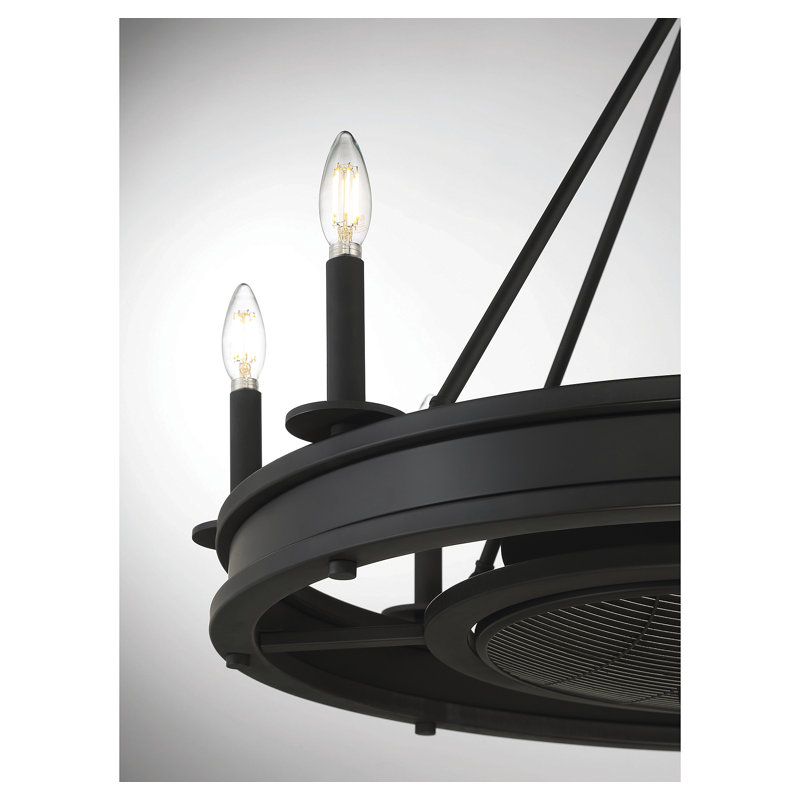 Taylorsville 30" 8-Light Fandelier with Remote Control, Matte Black