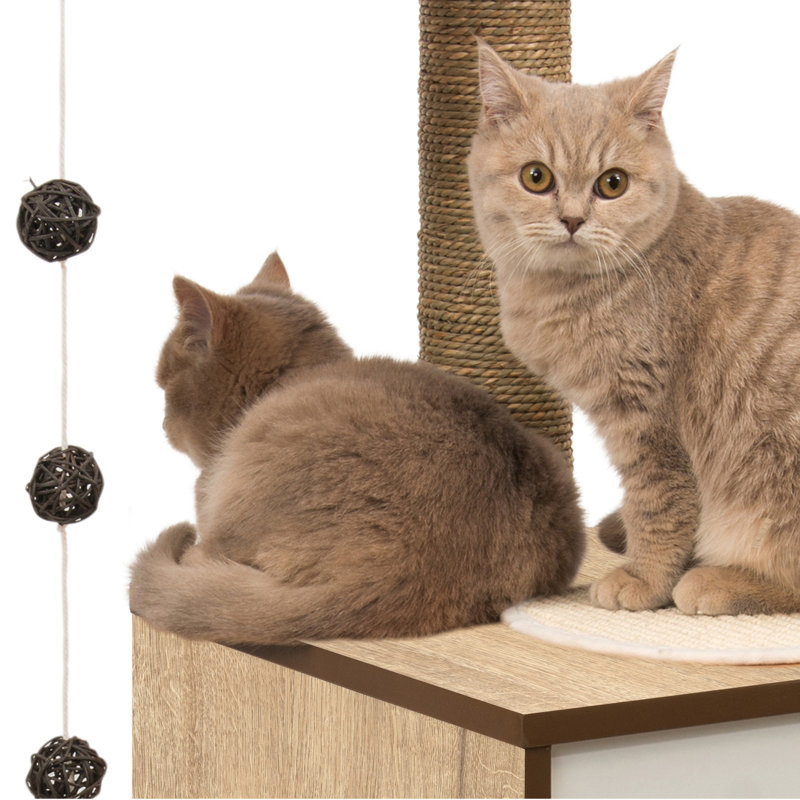 Tall Dark Brown Sisal Cat Tree with Oak Finish