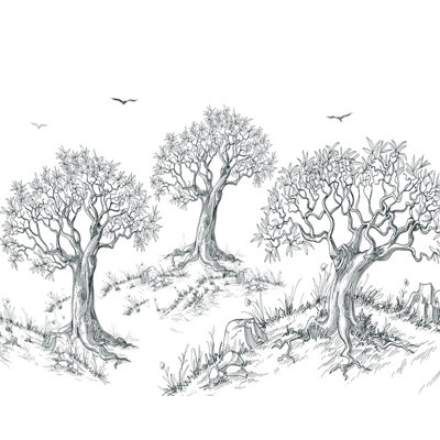 Panneau mural forêt à dessin au fusain L 6,25 pi x l 112 po