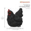 Chicken Animals Garden Statue-95852216