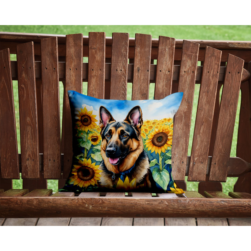 Other/No Pattern Outdoor Throw Pillow, 14" H x 14" W