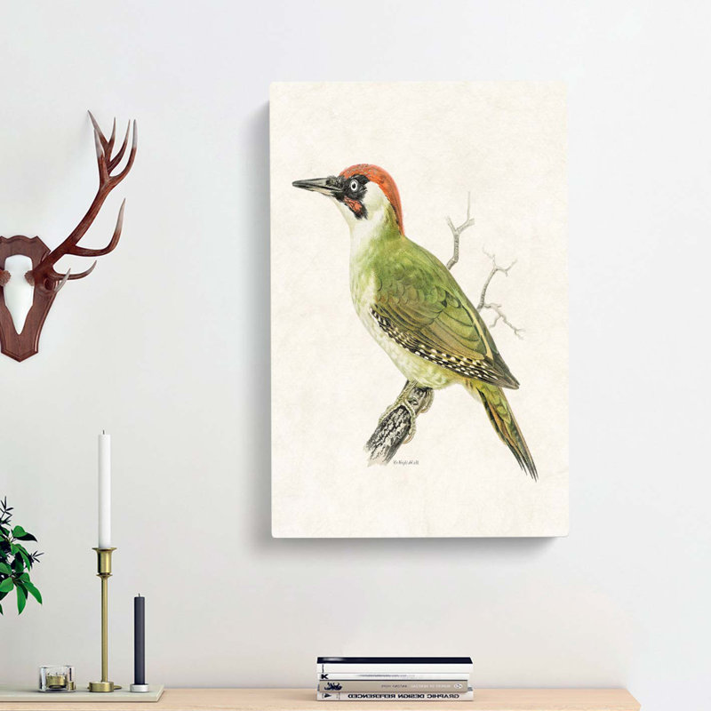 European Green Woodpecker by Von Wright - Wrapped Canvas, 50cm H x 35cm W x 3cm D