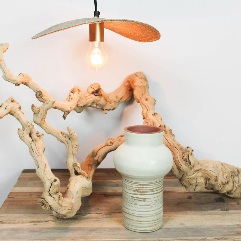 Luminaire suspendu simple à 1 lumière Asharie