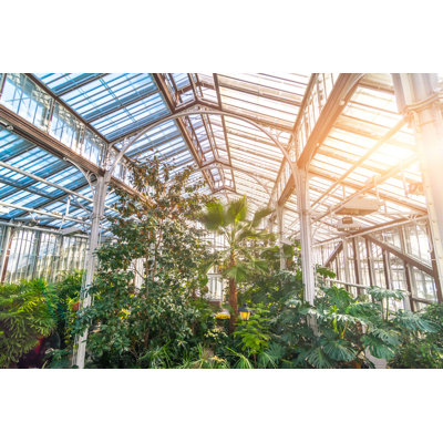 Erdfried " Tropical Greenhouse "